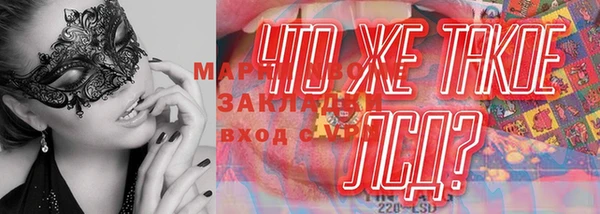 МДПВ Алзамай